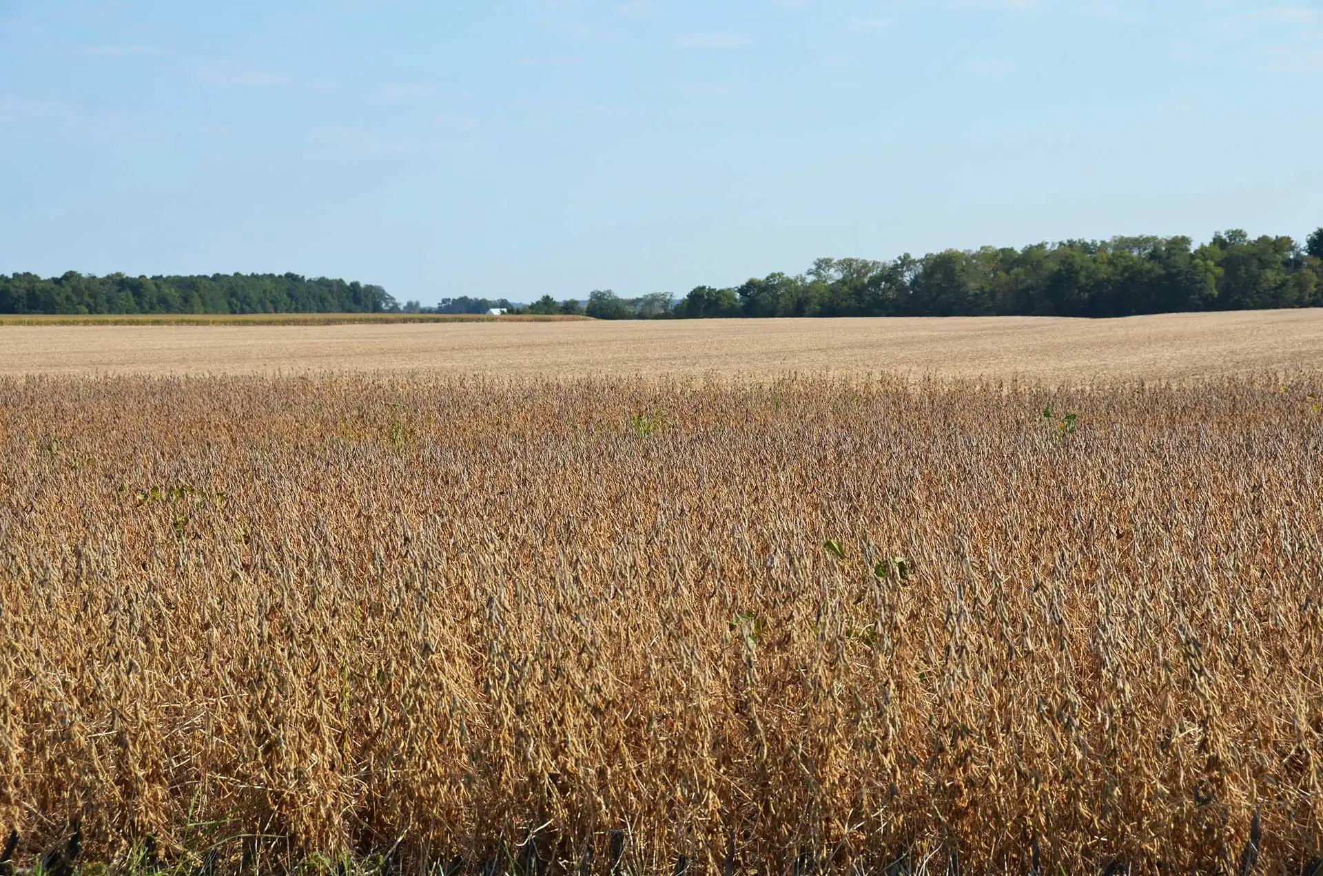 Tarımda Verimliliğin Anahtarı