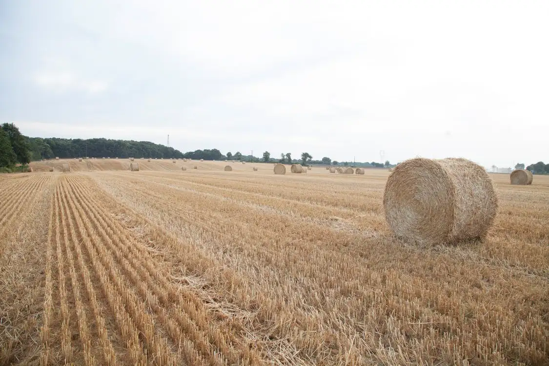 Hasat Harman Makinaları