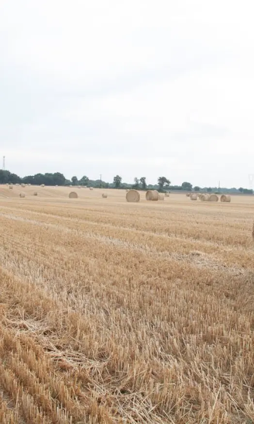 Hasat Harman Makinaları